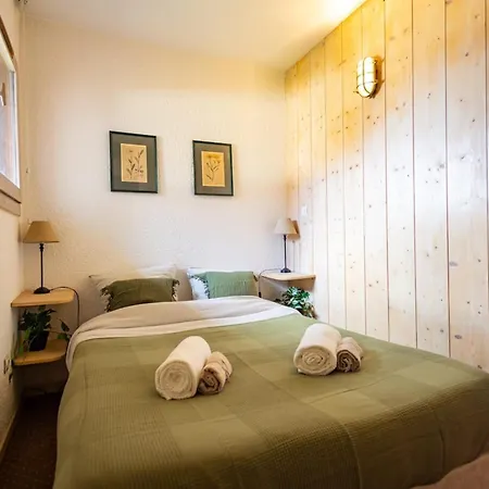 Pour 6 Personnes Au Pied Des Pistes Les Allues